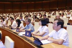 Cần rõ ràng điều kiện, trình tự, thủ tục chỉ định thầu