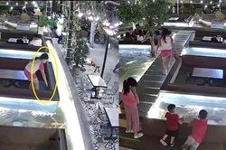 Truy tìm người nhặt chiếc bóp chứa tài sản gần 200 triệu tại quán cà phê Koiland