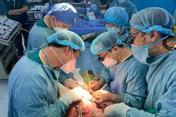 Sở Y tế TP.HCM yêu cầu BV Nhi đồng 2 không làm gián đoạn ghép gan cho trẻ có chỉ định ghép