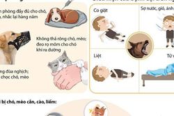 Bị chó nhà cắn, không đi tiêm phòng dại, một phụ nữ tử vong