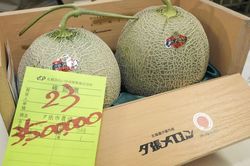 Nhật Bản: Dưa lưới Hokkaido được đấu giá hơn 25.000 USD