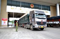 Xuất khẩu hơn 2.000 tấn quả vải tươi chín sớm qua Cửa khẩu Lào Cai