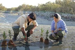 Tham vọng xanh của Saudi Arabia
