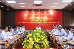 Tập trung tháo gỡ khó khăn cho Gang Thép Thái Nguyên