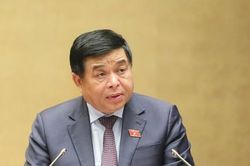 Luật đấu thầu không phải 'vòng kim cô'
