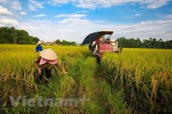 Cho phép chuyển nhượng vốn góp có làm mất đi bản chất của hợp tác xã?