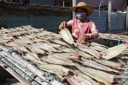 Cá khô, cá hộp trở thành 'ngôi sao sáng' trong xuất khẩu, mang về hàng chục triệu USD