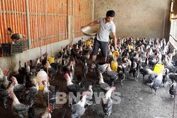 Tín dụng chính sách đánh thức vùng quê Anh Sơn