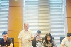 Đại biểu Quốc hội Sùng A Lềnh: Chính sách với đồng bào nên 'cho vay' chứ không 'cho không'