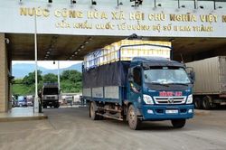 Xuất khẩu hơn 2.000 tấn quả vải tươi chín sớm qua Cửa khẩu Lào Cai