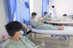 Ngày Thế giới không thuốc lá (31/5): 'Chúng ta cần lương thực, không cần thuốc lá'