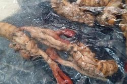 Suýt chết vì ăn nhộng ve sầu lại tưởng đông trùng hạ thảo
