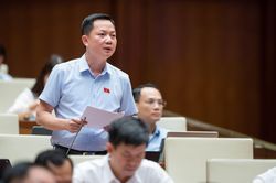 ĐBQH: Nhiều trả lời kiến nghị cử tri còn chung chung, thậm chí không đúng trọng tâm