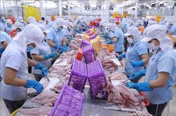Thách thức thiếu đơn hàng, đề xuất giải pháp 'cứu nguy' doanh nghiệp
