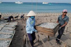 Trong bức tranh xuất khẩu 'xám xịt', mặt hàng cá khô bất ngờ thắng lớn