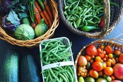 Người mẹ trẻ nghỉ việc ở thành phố, cùng con về quê trồng rau sạch
