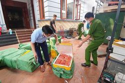 Ban chỉ đạo 389 Hà Nội: Xử lý 2.086 vụ hàng lậu, hàng giả trong tháng 5