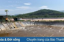 Lang Chánh đảm bảo các tiêu chí môi trường bền vững trong hoạt động chế biến lâm sản