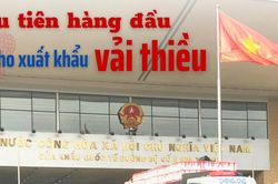 Ưu tiên hàng đầu cho xuất khẩu vải thiều