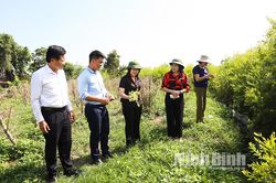 Khảo sát một số mô hình HTX sản xuất theo chuỗi giá trị