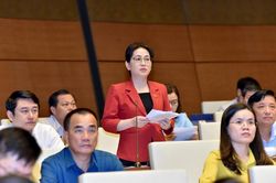 ĐBQH Phan Thị Nguyệt Thu (Hà Tĩnh): Cân nhắc việc công khai thông tin tổ chức, cá nhân kinh doanh bị kiện