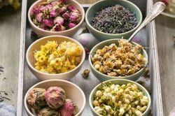 Bất ngờ 5 loại trà thảo mộc ngon giải khát mùa hè nhưng giúp loại bỏ độc tố trong cơ thể