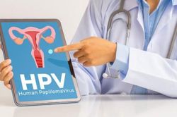 Virus gây u nhú ở người (HPV) ảnh hưởng đến khả năng sinh sản thế nào?