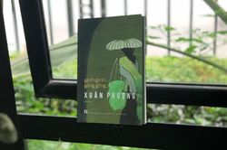 Ánh sáng xuyên suốt cuộc đời một người phụ nữ dấn thân