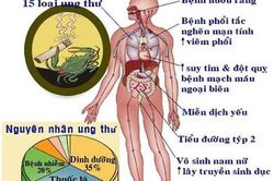 Nhiều ca bệnh nặng, nguy kịch do tác hại của khói thuốc