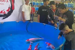 Khai mạc lễ hội cá cảnh TPHCM