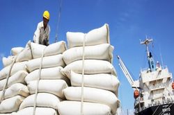 Đến 2030, Việt Nam giảm khối lượng xuất khẩu gạo xuống còn khoảng 4 triệu tấn