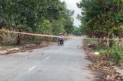 Thông tin bất ngờ vụ chân tay người bị cháy trong túi xách