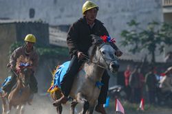 Thủ tướng yêu cầu kiểm tra kinh doanh đặt cược đua ngựa, đua chó, bóng đá