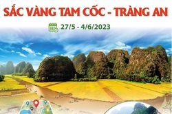 Tuần du lịch Ninh Bình năm 2023: Sắc vàng Tam Cốc - Tràng An