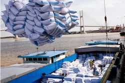 Đến năm 2030, Việt Nam phấn đấu tỷ lệ gạo xuất khẩu có thương hiệu đạt trên 40%