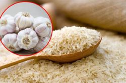 Vùi tỏi vào thùng gạo có lợi ích gì?