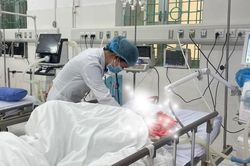 Cao Bằng: 2 người bị trâu, bò húc gây đa chấn thương