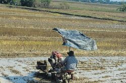 Quảng Trị: Chủ động nguồn nước tưới cho sản xuất nông nghiệp trước thời tiết nắng nóng