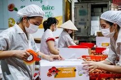 'Cháy hàng' vải thiều xuất Mỹ, Nhật, châu Âu