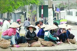 Lao động tự do sẽ được bảo vệ bằng bảo hiểm tai nạn