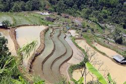 Mùa nước đổ trên những thửa ruộng bậc thang ở Lai Châu
