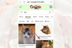 Bỏ túi cách tìm kiếm bằng hình ảnh trên Google cho điện thoại cực nhanh