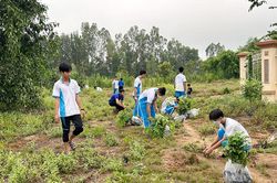 Tuổi trẻ Châu Thành ra quân hưởng ứng 'Ngày Chủ nhật xanh' toàn quốc đợt II/2023
