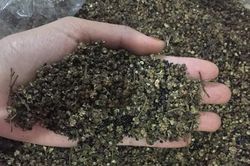 TIN NHANH 12H: Ồ ạt bán vàng bất chấp lỗ; Phát hiện chất chống ung thư từ loại gia vị phổ biến