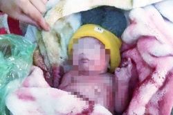 Thông tin bất ngờ về mẹ của cháu bé sơ sinh bị bỏ rơi bên đường