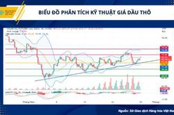 Thị trường hàng hóa hôm nay 29/5: Giá dầu phục hồi tuần thứ 2 liên tiếp, thị trường kim loại đỏ lửa
