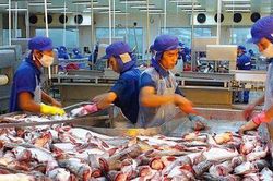 Sản xuất nông nghiệp, thủy sản dần có tín hiệu phục hồi