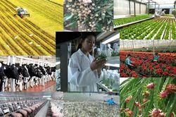 Nông nghiệp tháng 5/2023: Chăn nuôi hồi phục, thủy sản lấy lại đà tăng trưởng