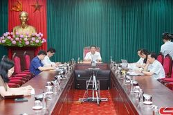 Họp Thường trực Ban Chỉ đạo phòng, chống tham nhũng, tiêu cực tỉnh