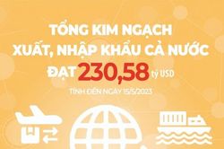 Cần có chính sách 'ngoại giao đơn hàng' hỗ trợ các doanh nghiệp xuất khẩu